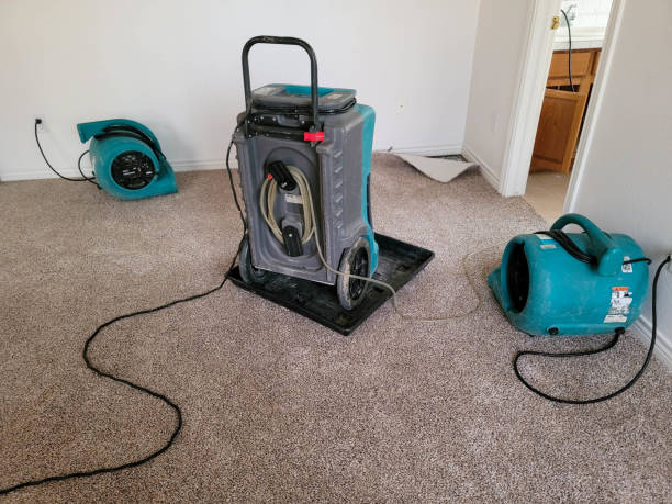 Water damage restoration insurance claims in Greenfield, IN