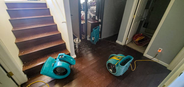 Best Water damage cleanup near me  in Greenfield, IN