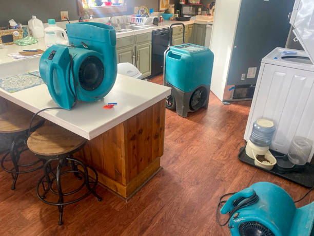 Best 24-hour water damage restoration  in Greenfield, IN