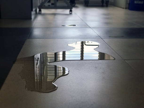 Best Professional water damage repair  in Greenfield, IN