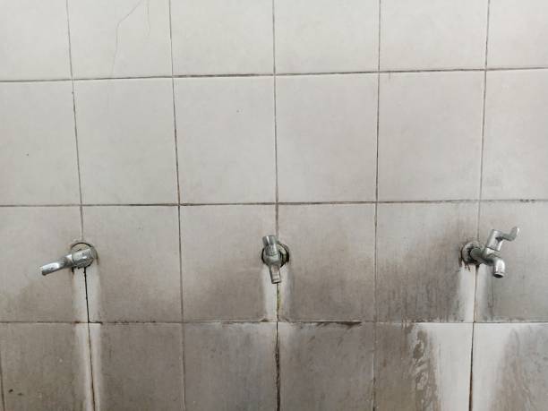 Best Water damage restoration near me  in Greenfield, IN