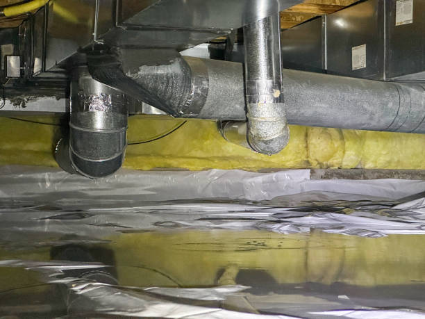 Best Basement water damage restoration  in Greenfield, IN