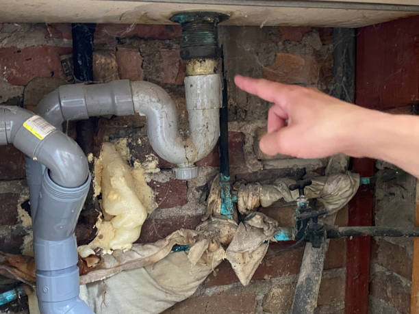 Best Carpet water damage restoration  in Greenfield, IN